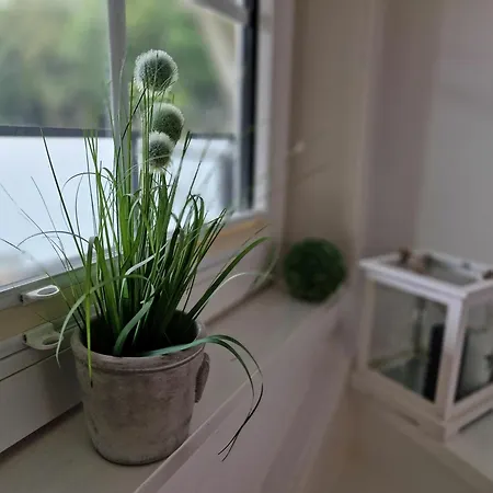 Daire Kleines Foehrsteck