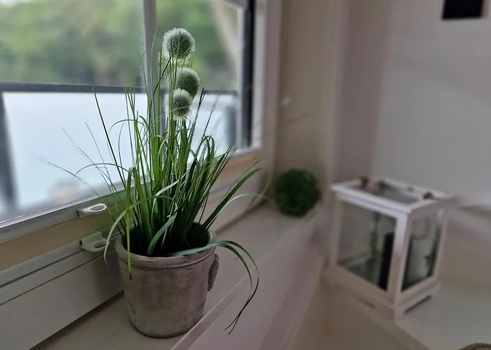 Daire Kleines Foehrsteck